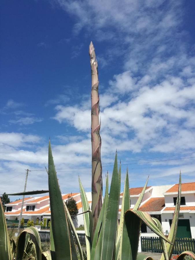 Casa Praia E Ria Torreira Buitenkant foto